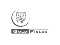 gold-fields