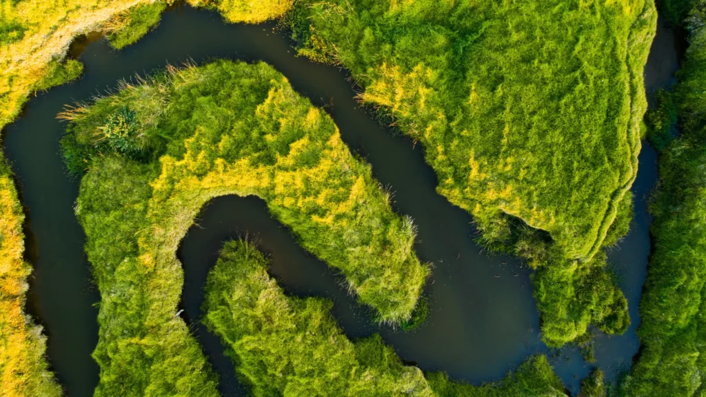 ESG and Sustainable Construction: How iSystain Supports Green Building Goals