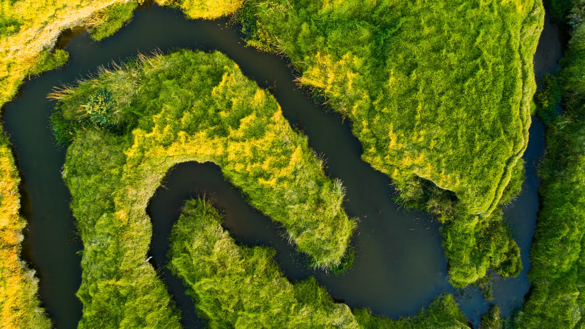 ESG and Sustainable Construction: How iSystain Supports Green Building Goals