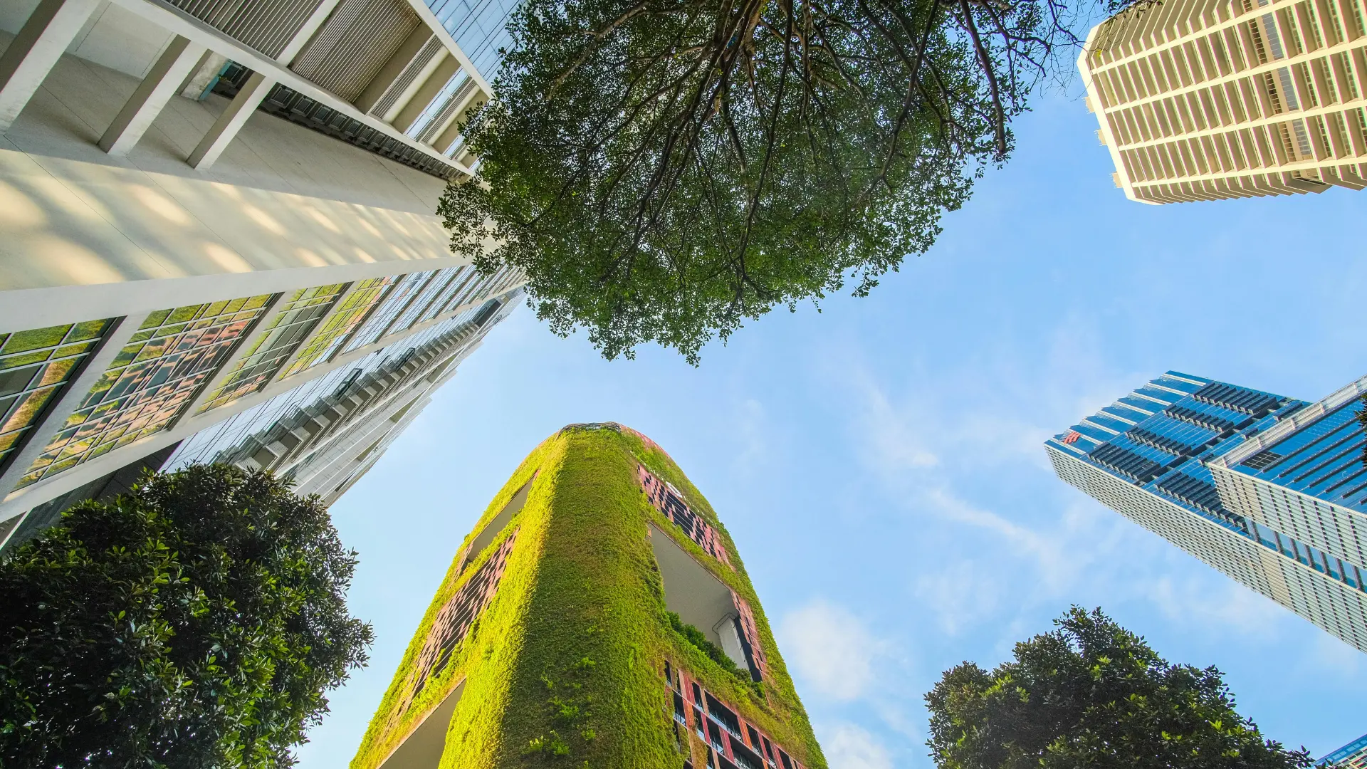 Beyond Compliance: How Integrated Sustainability Software Drives Competitive Advantage