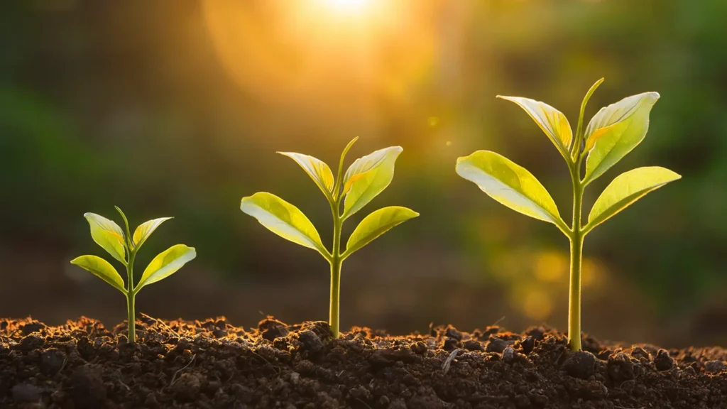 VST Post-Acquisition Growth_ How VST Scales SaaS Companies Without Losing Their DNA